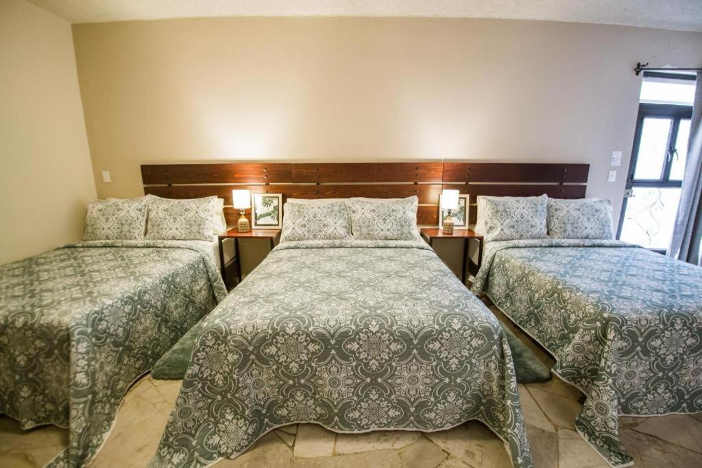 Hotel Camino De Allende サン・ミゲル・デ・アジェンデ エクステリア 写真