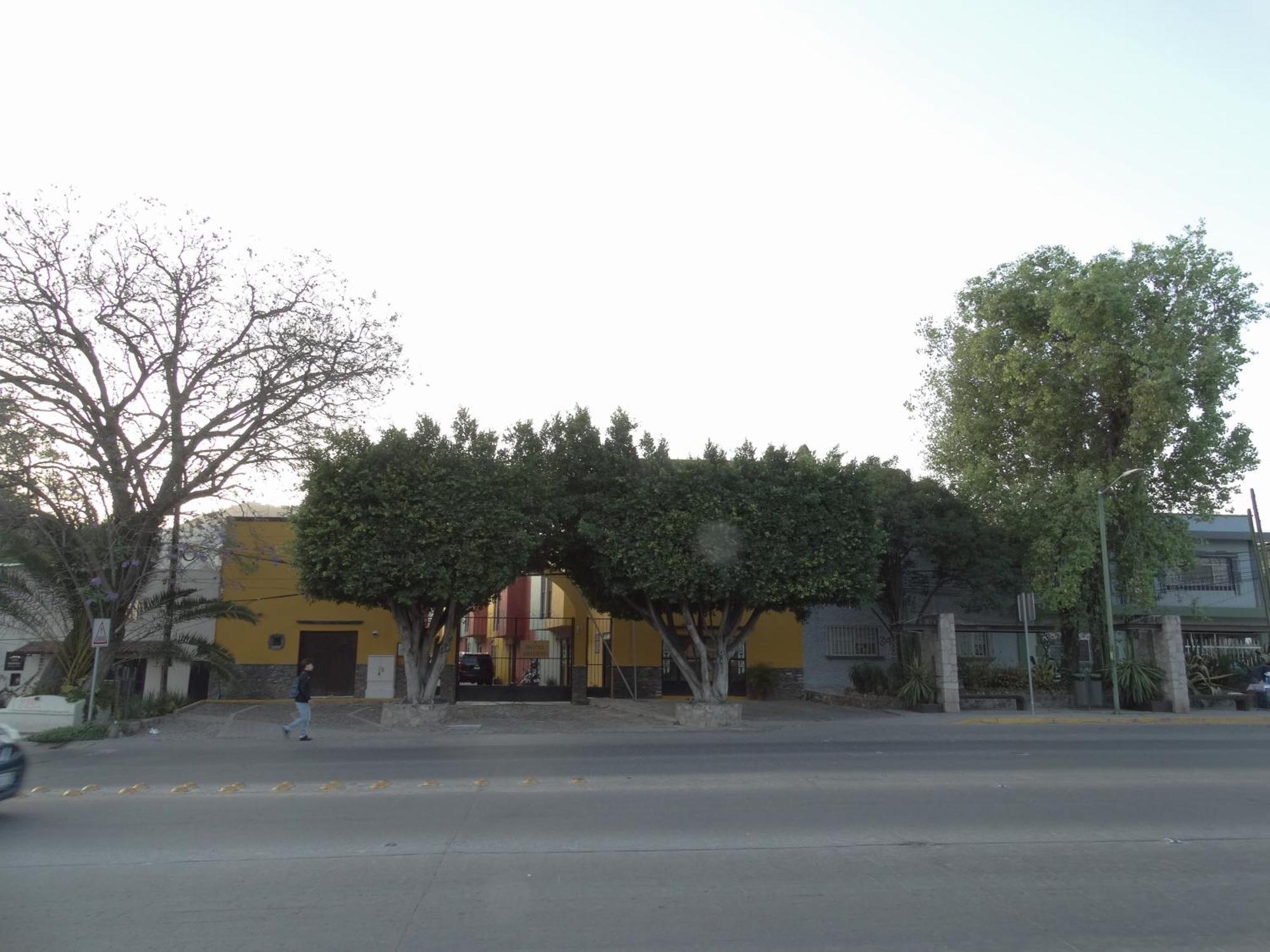 Hotel Camino De Allende サン・ミゲル・デ・アジェンデ エクステリア 写真